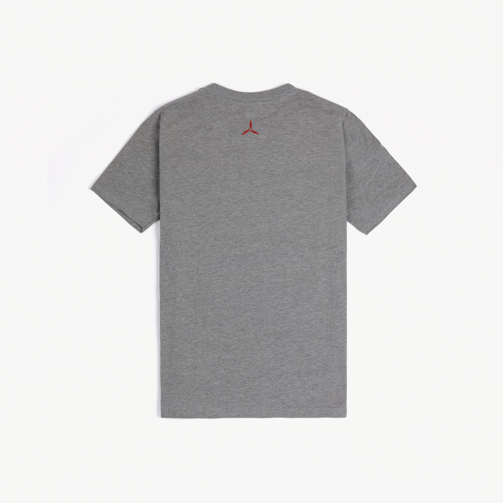 Youth “Are We Flying Today?” Tee (Gray)